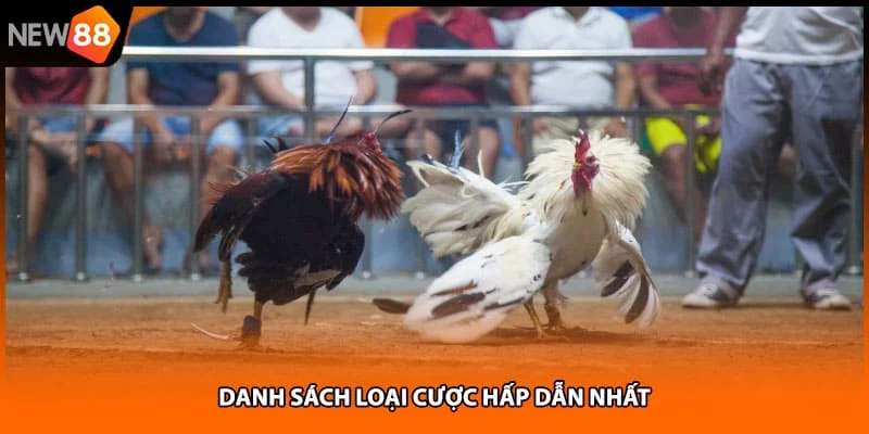 Danh sách loại cược hấp dẫn nhất Danh sách loại cược hấp dẫn nhất