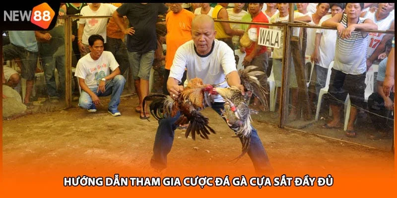 Hướng dẫn tham gia cược đá gà cựa sắt đầy đủ Hướng dẫn tham gia cược đá gà cựa sắt đầy đủ