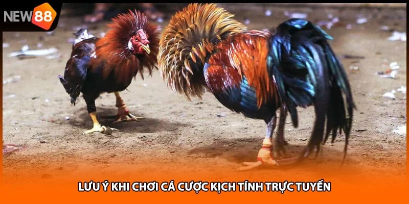 Lưu ý khi chơi cá cược kịch tính trực tuyến Lưu ý khi chơi cá cược kịch tính trực tuyến