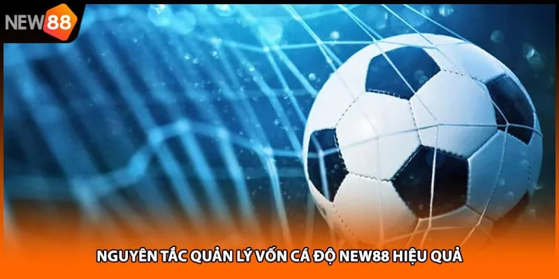 Nguyên tắc quản lý vốn cá độ NEW88 hiệu quả Nguyên tắc quản lý vốn cá độ NEW88 hiệu quả