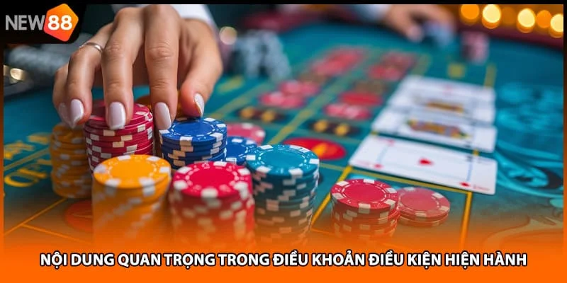 Nội dung quan trọng trong điều khoản điều kiện hiện hành Nội dung quan trọng trong điều khoản điều kiện hiện hành